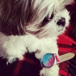 1 LEFT - "The Prince" Women's Watch Dark Red/D…